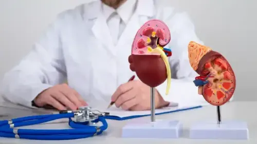 What Food is Good for a Kidney Patient?